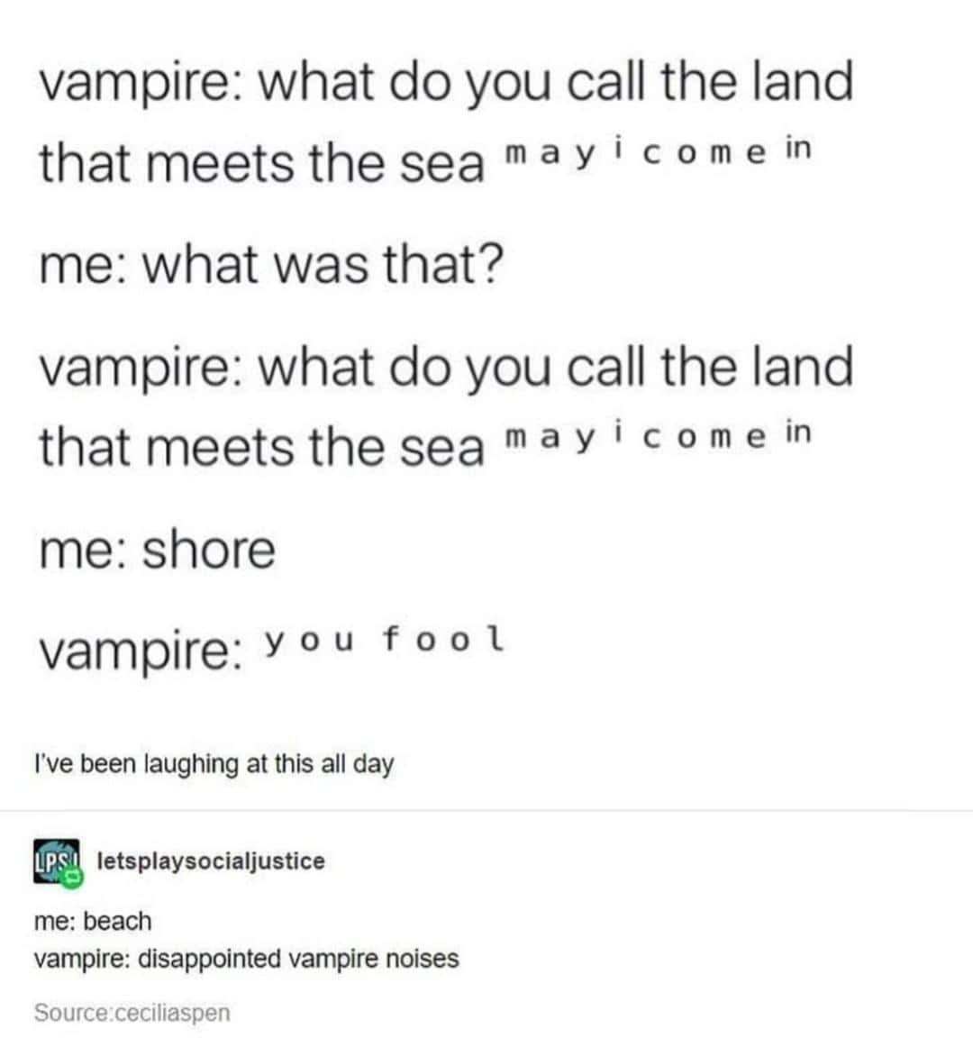 tumblr memes, best tumblr text posts, Tumblr text posts, internet humor, chaotic memes, existential memes, absurd humor, relatable posts, adulting jokes, modern life memes, funny tumblr