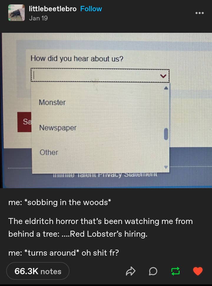 tumblr memes, best tumblr text posts, Tumblr text posts, internet humor, chaotic memes, existential memes, absurd humor, relatable posts, adulting jokes, modern life memes, funny tumblr