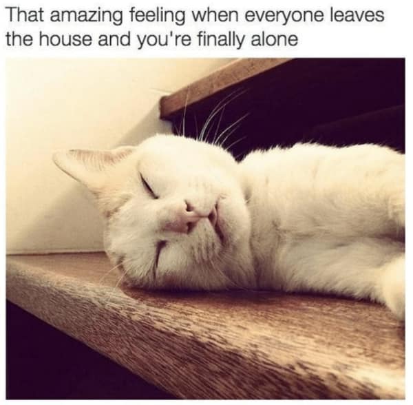 wholesome memes, heartwarming memes, uplifting memes, positive memes, positive humor, feel-good jokes, self-care memes, uplifting humor, mental health jokes, happy vibes