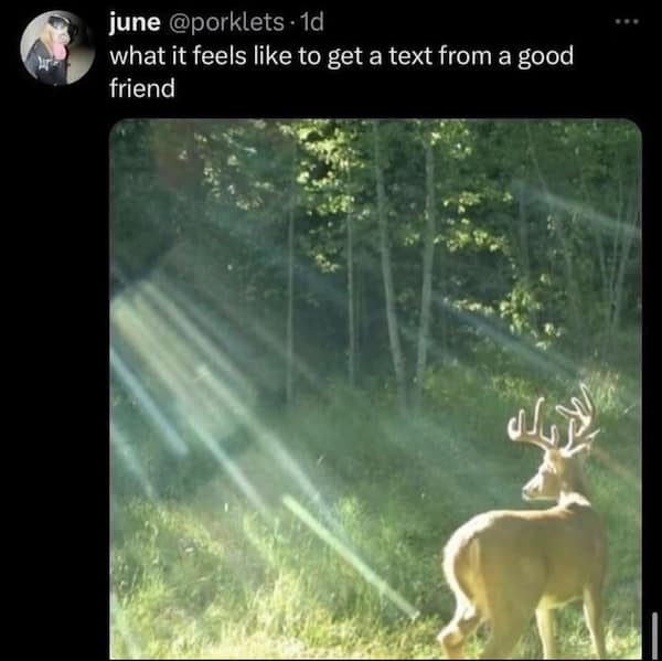 wholesome memes, heartwarming memes, uplifting memes, uplifting memes, feel-good memes, positive memes