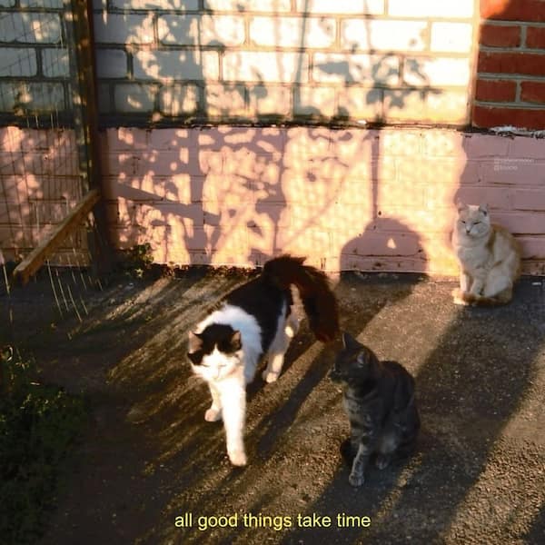 wholesome memes, heartwarming memes, uplifting memes, uplifting memes, feel-good memes, positive memes