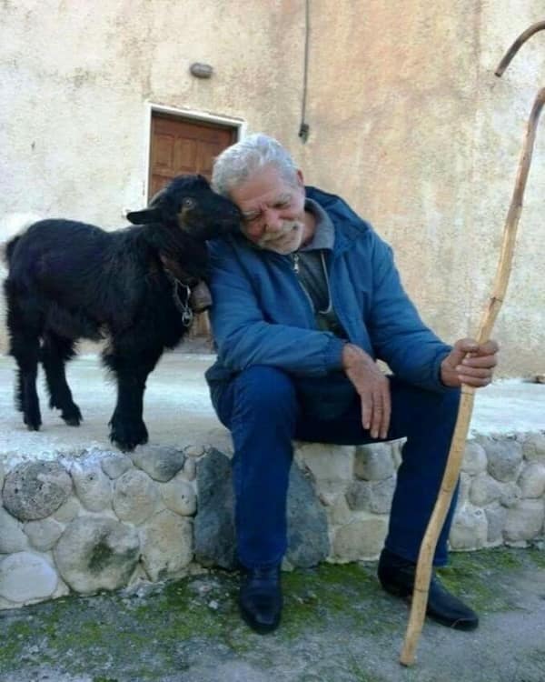 wholesome memes, heartwarming memes, uplifting memes, uplifting memes, feel-good memes, positive memes