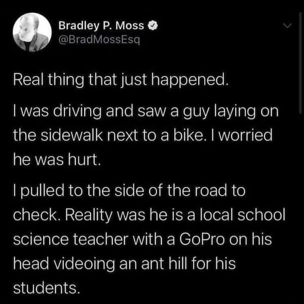 wholesome memes, heartwarming memes, uplifting memes, uplifting memes, feel-good memes, positive memes