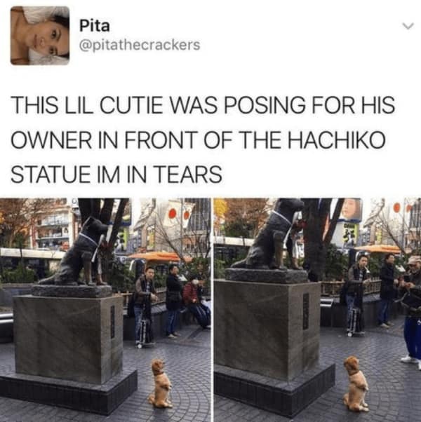 wholesome memes, heartwarming memes, uplifting memes, positive memes, positive humor, feel-good jokes, self-care memes, uplifting humor, mental health jokes, happy vibes