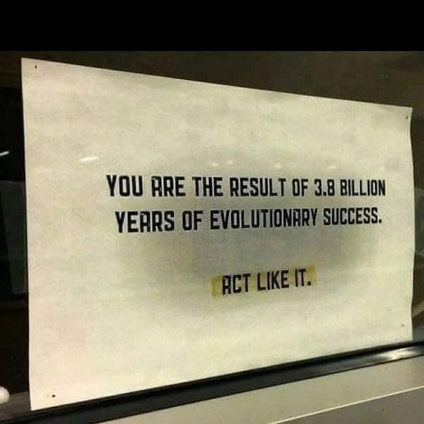 wholesome memes, heartwarming memes, uplifting memes, uplifting memes, feel-good memes, positive memes