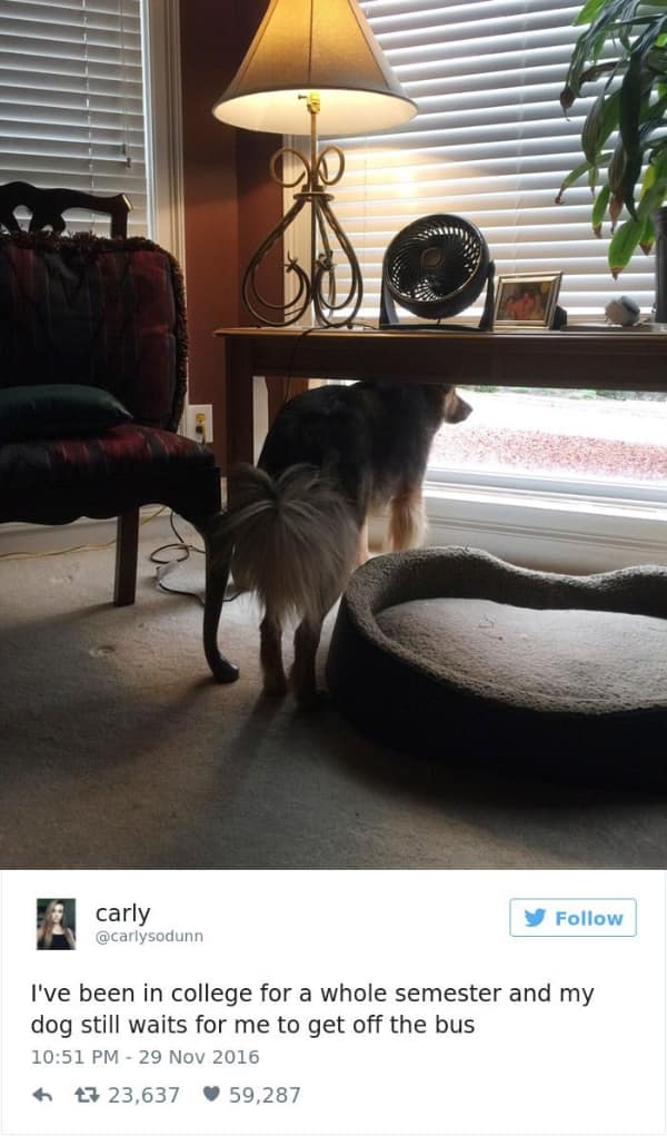 wholesome memes, heartwarming memes, uplifting memes, positive memes, positive humor, feel-good jokes, self-care memes, uplifting humor, mental health jokes, happy vibes