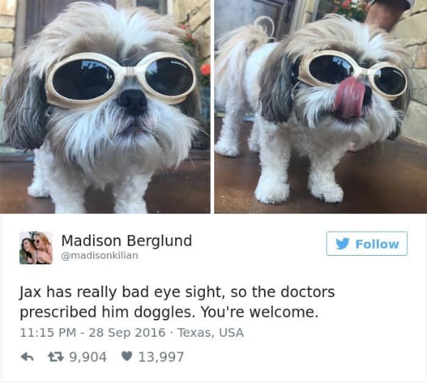 wholesome memes, heartwarming memes, uplifting memes, positive memes, positive humor, feel-good jokes, self-care memes, uplifting humor, mental health jokes, happy vibes