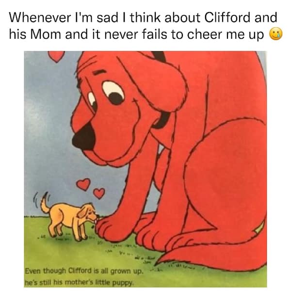 wholesome memes, heartwarming memes, uplifting memes, uplifting memes, feel-good memes, positive memes