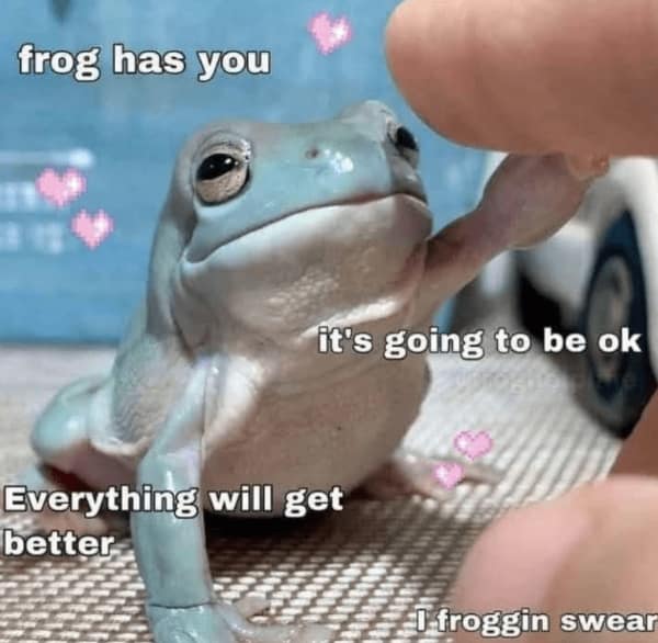 wholesome memes, heartwarming memes, uplifting memes, positive memes, positive humor, feel-good jokes, self-care memes, uplifting humor, mental health jokes, happy vibes