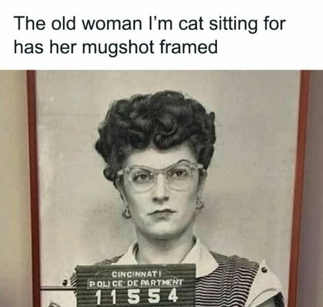 women memes, memes about being a woman, female memes, womanhood memes, relatable memes, relatable humor, female empowerment, womanhood humor, feminist memes, women’s experiences