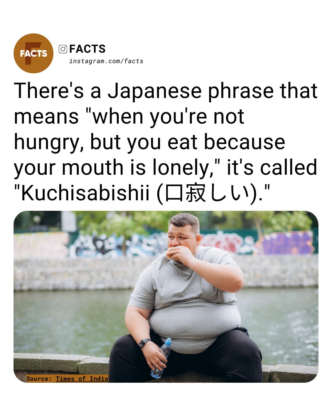 There's a Japanese phrase that means "when you're not hungry, but you eat because your mouth is lonely," it's called “Kuchisabish
