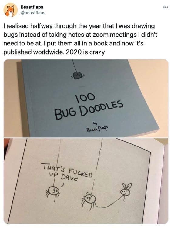 I realised halfway through the year that I was drawing bugs instead of taking notes at zoom meetings I didn't need to be at. I put them all in a book and now it's published worldwide. 2020 is crazy