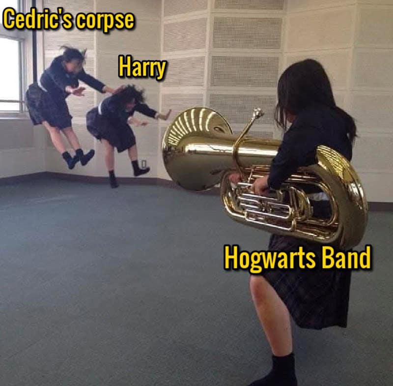 harry potter memes, wizarding memes, hogwarts memes, potterverse memes, hogwarts humor, magical jokes, wizard puns, wizard memes, sorcery snapshots, magic references