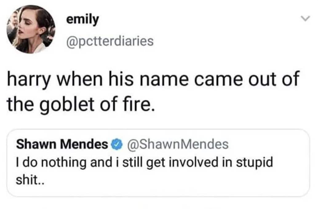 harry potter memes, wizarding memes, hogwarts memes, potterverse memes, hogwarts humor, magical jokes, wizard puns, wizard memes, sorcery snapshots, magic references