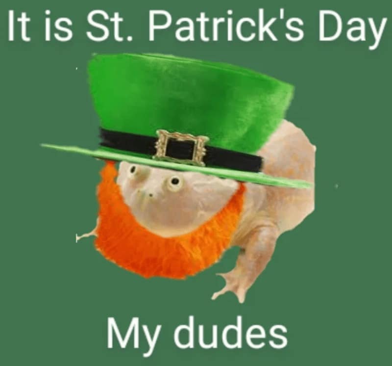 St patricks day memes, st patricks day meme, Irish celebration memes, green day memes, lucky day memes, St Patrick's Day jokes, silly shamrock lines, Gaelic humor, Irish holiday memes, Celtic laughs, festive Irish references