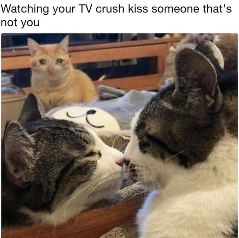 TV memes, funny TV memes, television memes, show memes, binge memes, streaming memes, Netflix memes, Hulu memes, Disney+ memes series memes, fandom memes, episode memes, show addiction memes, spoiler memes, finale memes, cliffhanger memes, plot twist memes