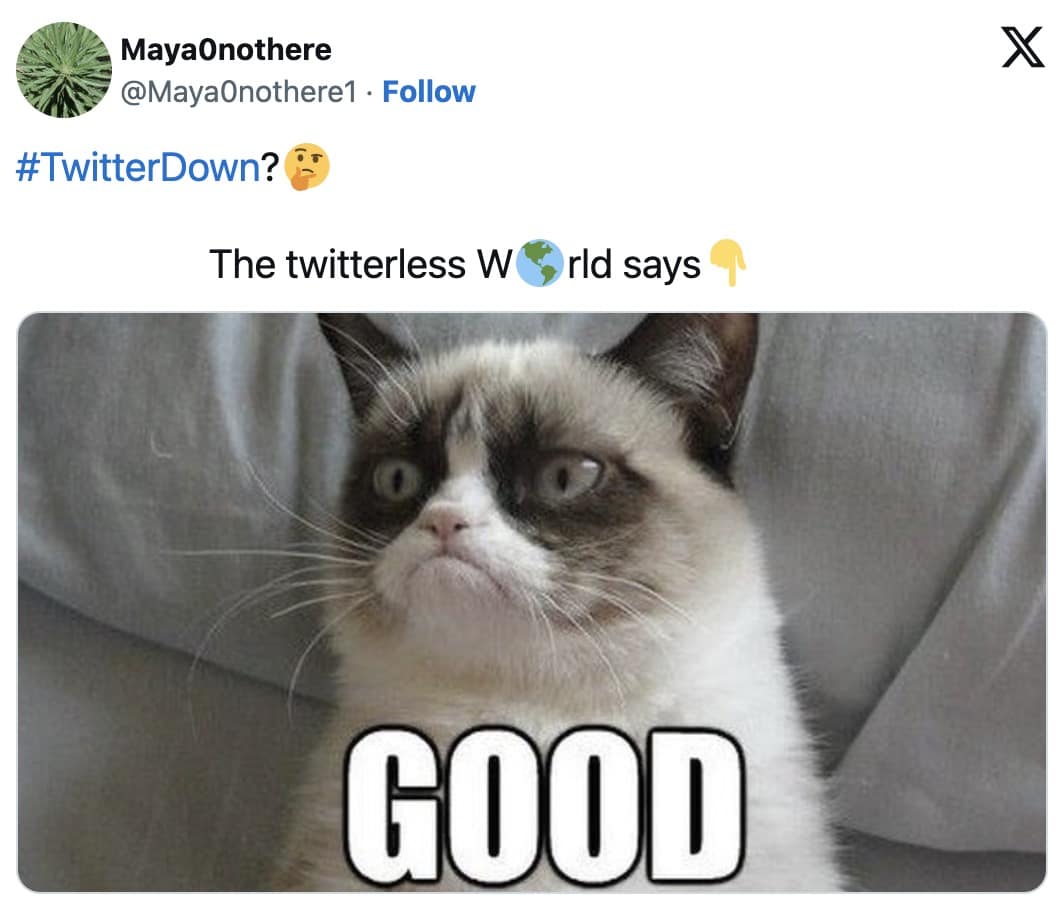 x outage memes, twitter hack memes, twitter outage memes, X hacked, X meltdown memes, Twitter downtime memes, Twitter crash memes, Elon Musk memes, billionaire humor, visionary fiascos,