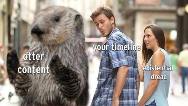 animal memes, pet memes, funny animal pictures, hilarious pet moments, animal jokes, pet humor, funny animal memes