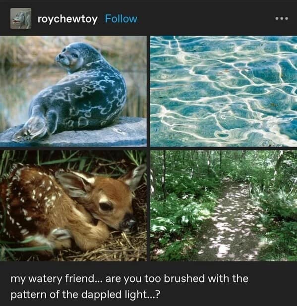 animal memes, pet memes, funny animal pictures, hilarious pet moments, animal jokes, pet humor, funny animal memes