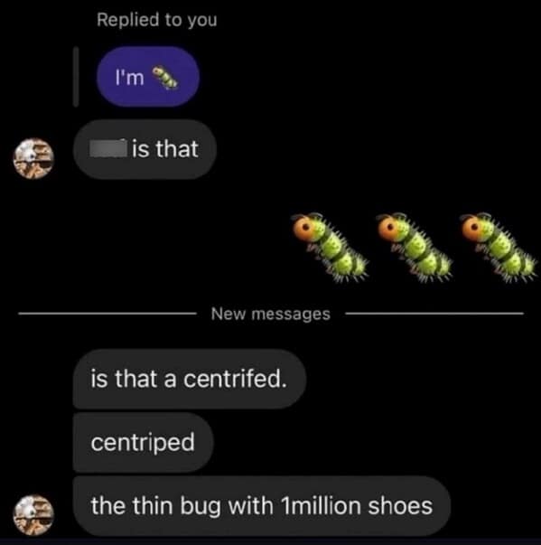 animal memes, pet memes, funny animal pictures, hilarious pet moments, animal jokes, pet humor, funny animal memes