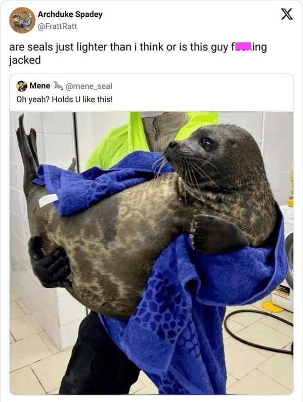 animal memes, pet memes, funny animal pictures, hilarious pet moments, animal jokes, pet humor, funny animal memes