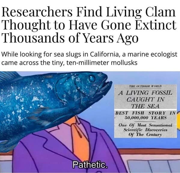 animal memes, pet memes, funny animal pictures, hilarious pet moments, animal jokes, pet humor, funny animal memes