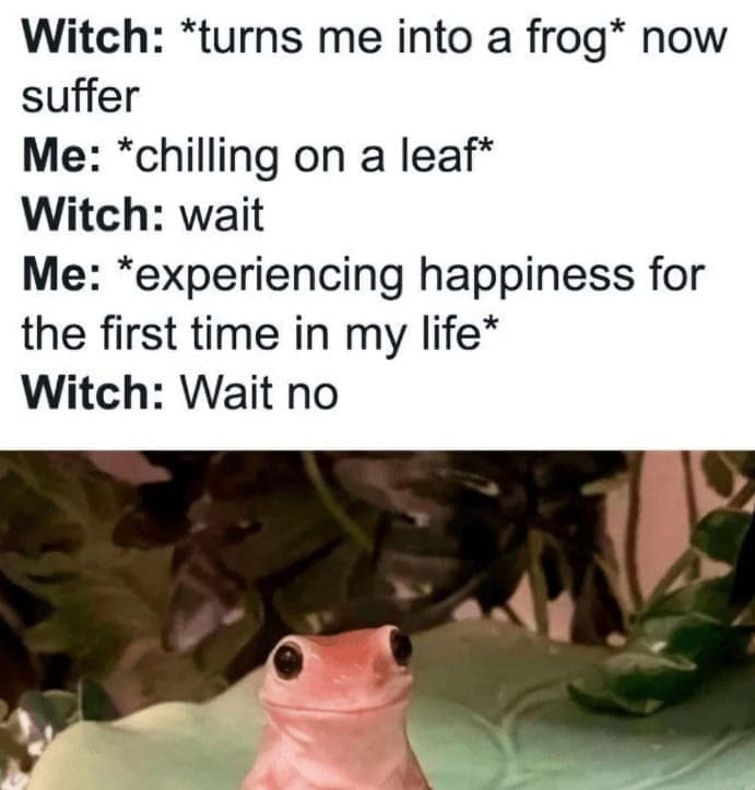 animal memes, funny animal memes, pet memes, funny animal pictures, humorous pet memes, dog memes, cat memes, cute animal memes, canine humor, feline jokes, adorable animal images