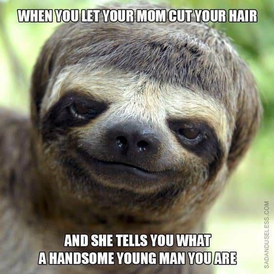 animal memes, funny animal memes, pet memes, funny animal pictures, humorous pet memes, dog memes, cat memes, cute animal memes, canine humor, feline jokes, adorable animal images