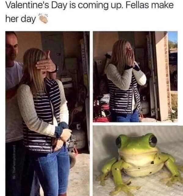 animal memes, pet memes, funny animal pictures, hilarious pet moments, animal jokes, pet humor, funny animal memes