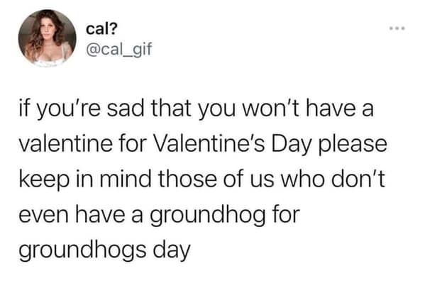 animal memes, pet memes, funny animal pictures, hilarious pet moments, animal jokes, pet humor, funny animal memes