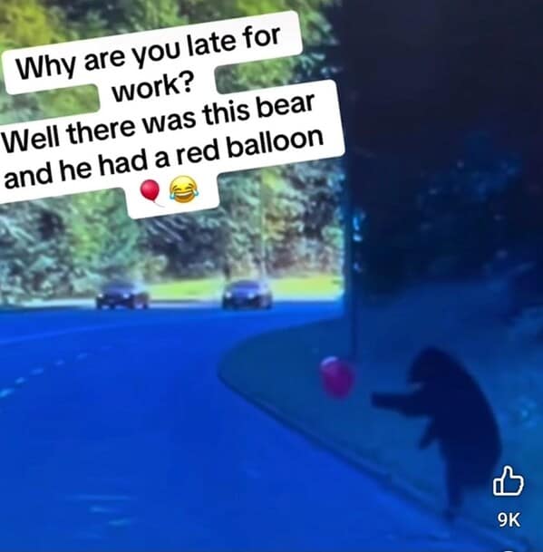 animal memes, pet memes, funny animal pictures, hilarious pet moments, animal jokes, pet humor, funny animal memes