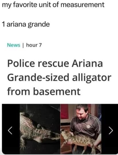 ariana grande memes, Ariana memes, Ari G memes, Grande humor, Ariana Grande jokes, Grande wit, pop singer quips, Ariana Grande music, Eternal Sunshine content, big album release, Eternal Sunshine deluxe