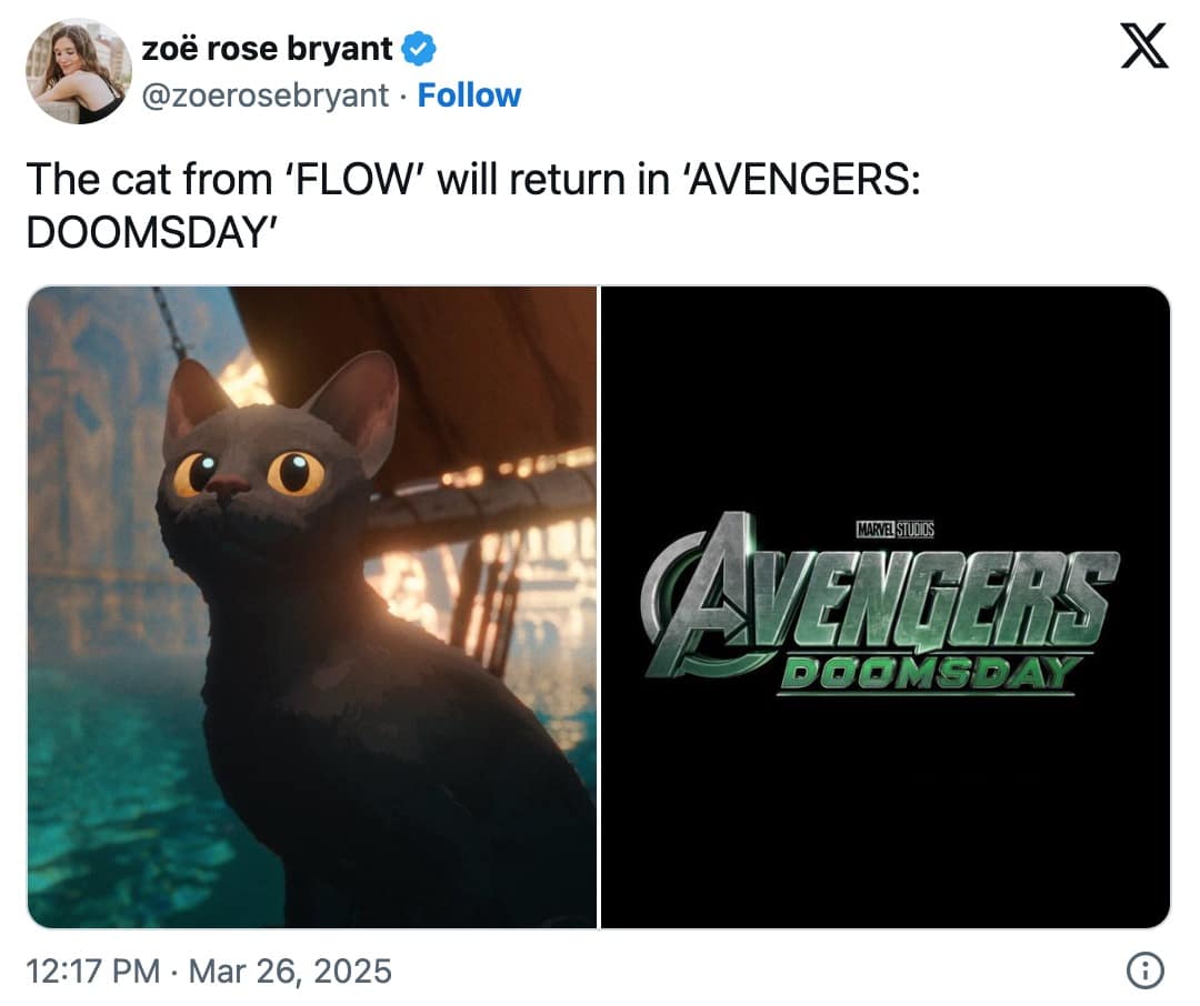 avengers doomsday memes, avengers cast reveal memes, Marvel memes, Avengers memes, cast announcement memes, MCU jokes, Marvel humor, superhero satire, superhero team memes, Avengers humor, MCU team jokes, casting humor, celebrity reveal jokes, movie announcement satire, avengers cast announcement, marvel cast announcement