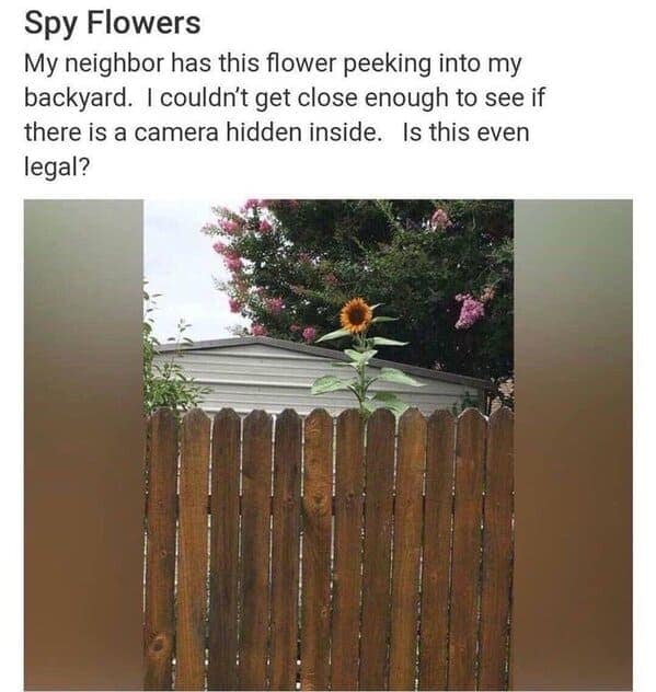 best of nextdoor, neighbor memes, neighbour memes, top Nextdoor highlights, funniest Nextdoor posts, neighborhood app humor, local laughs, community jokes, comedic Nextdoor fails, cringe-worthy local posts, embarrassing neighborhood moments