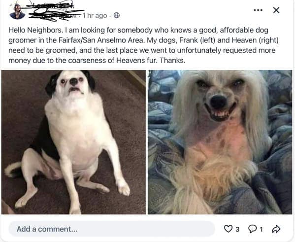 best of nextdoor, neighbor memes, neighbour memes, top Nextdoor highlights, funniest Nextdoor posts, neighborhood app humor, local laughs, community jokes, comedic Nextdoor fails, cringe-worthy local posts, embarrassing neighborhood moments