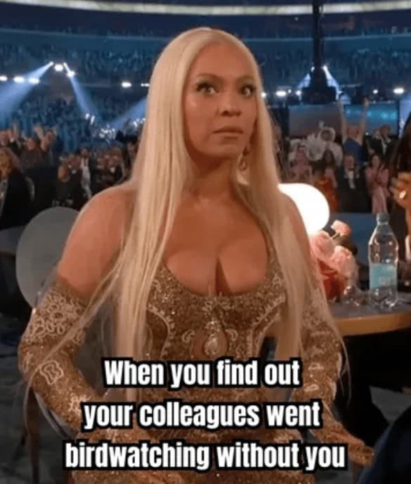 When you find out your colleagues went birdwatching without you