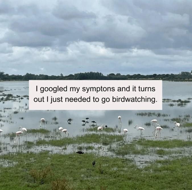 I googled my symptons and it turns out I just needed to go birdwatching.