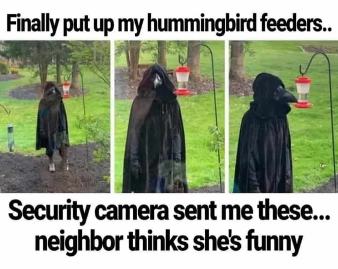 Finally put up my hummingbird feeders.. Security camera sent me these... neighbor thinks she's funny