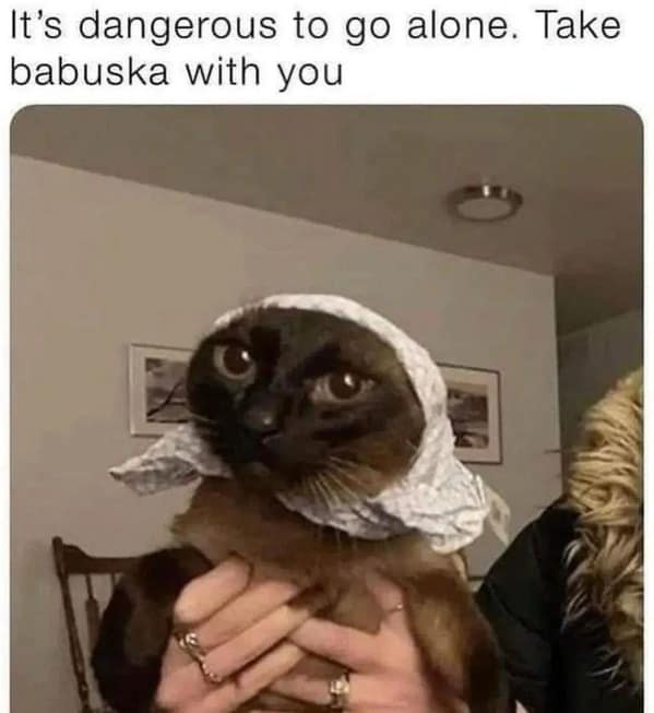 cat memes, funny cat memes, feline memes, funny cat images, humorous cat pics, funny pet memes, grumpy cat memes, hilarious animal , amusing pet memes, sarcastic feline memes, witty animal pictures
