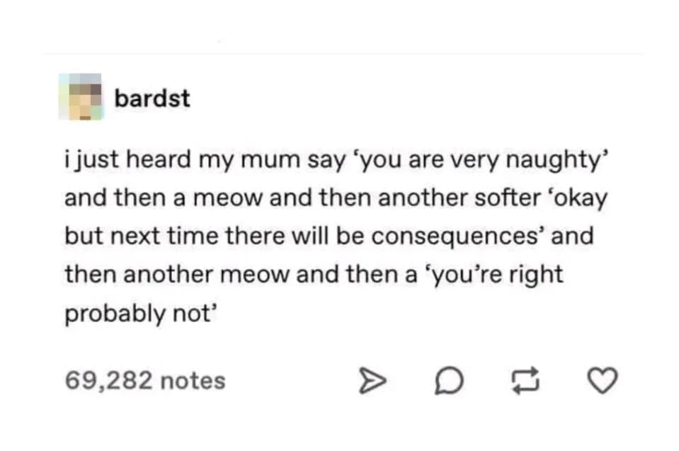 classic memes, vintage memes, viral tweets, timeless memes, nostalgic memes, viral memes, internet classics, popular memes, meme humor, funny memes, relatable memes, everyday humor, meme nostalgia, old memes, best memes