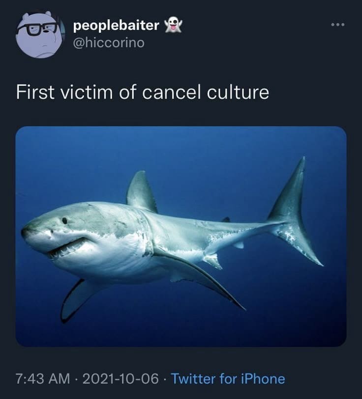 classic memes, vintage memes, viral tweets, timeless memes, nostalgic memes, viral memes, internet classics, popular memes, meme humor, funny memes, relatable memes, everyday humor, meme nostalgia, old memes, best memes