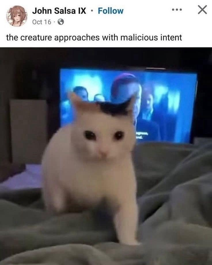 classic memes, vintage memes, viral tweets, timeless memes, old memes, tweet classics, trending short posts, nostalgic memes, internet throwbacks, legacy jokes, evergreen memes, lasting comedic hits, enduring online humor, best memes
