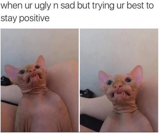 classic memes, vintage memes, viral tweets, timeless memes, viral humor, evergreen memes, meme nostalgia, funny old memes, iconic memes, vintage meme humor, classic viral jokes, legendary internet memes, old memes, best memes