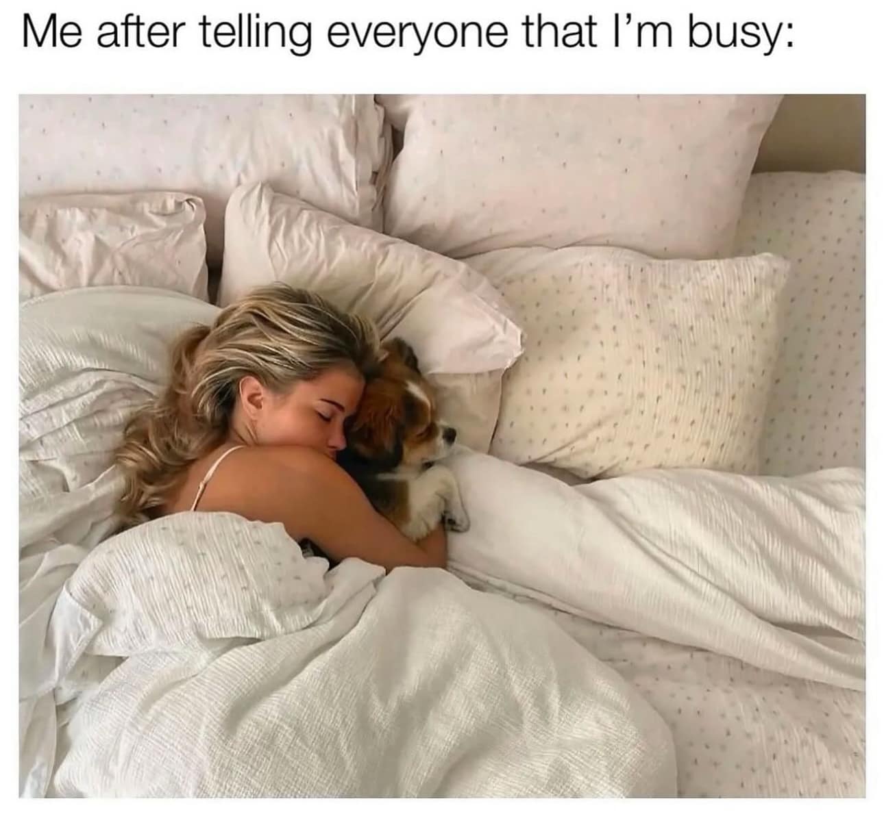 classic memes, vintage memes, viral tweets, timeless memes, old memes, tweet classics, trending short posts, nostalgic memes, internet throwbacks, legacy jokes, evergreen memes, lasting comedic hits, enduring online humor, best memes