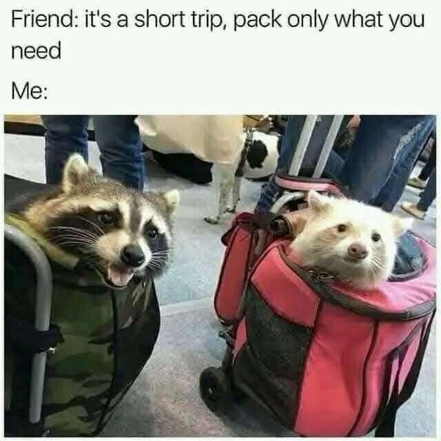 classic memes, vintage memes, viral tweets, timeless memes, nostalgic memes, viral memes, internet classics, popular memes, meme humor, funny memes, relatable memes, everyday humor, meme nostalgia, old memes, best memes