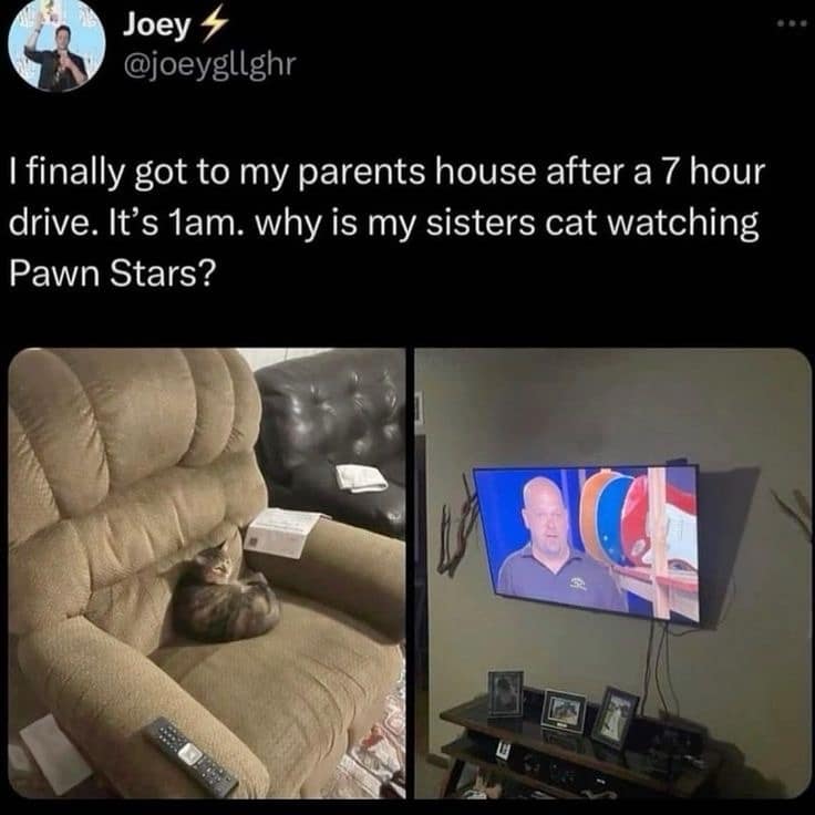 classic memes, vintage memes, viral tweets, timeless memes, old memes, tweet classics, trending short posts, nostalgic memes, internet throwbacks, legacy jokes, evergreen memes, lasting comedic hits, enduring online humor, best memes