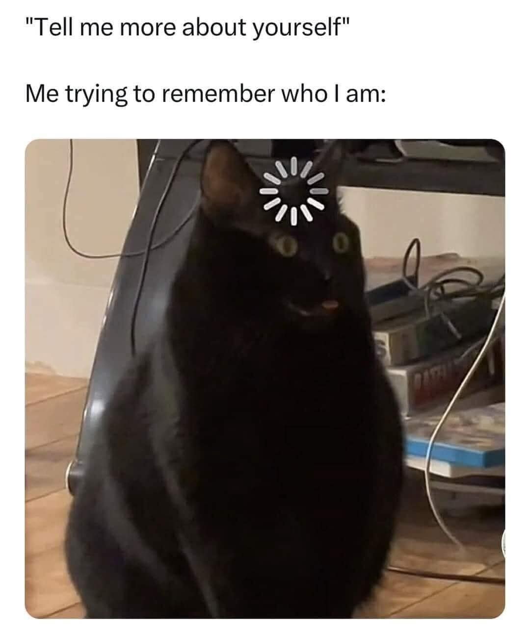 classic memes, vintage memes, viral tweets, best memes, old memes, retro memes, past memes