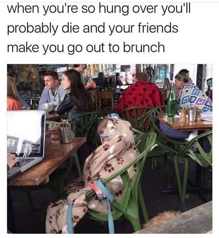 classic memes, vintage memes, viral tweets, timeless memes, old memes, tweet classics, trending short posts, nostalgic memes, internet throwbacks, legacy jokes, evergreen memes, lasting comedic hits, enduring online humor, best memes
