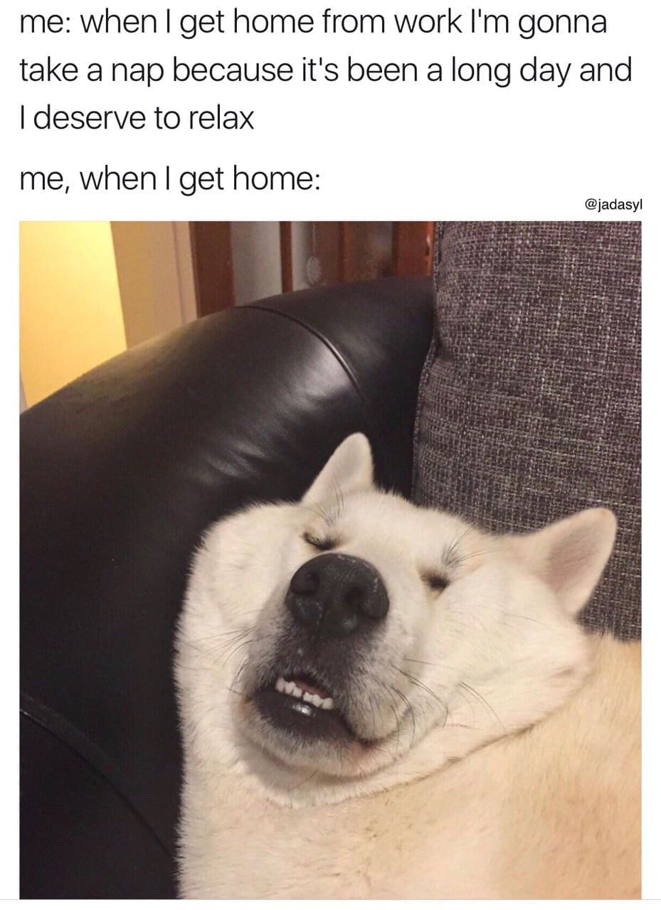 classic memes, vintage memes, viral tweets, timeless memes, nostalgic memes, viral memes, internet classics, popular memes, meme humor, funny memes, relatable memes, everyday humor, meme nostalgia, old memes, best memes