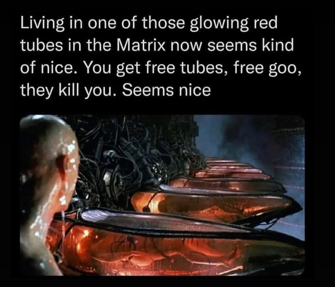 classic memes, vintage memes, viral tweets, timeless memes, nostalgic memes, viral memes, internet classics, popular memes, meme humor, funny memes, relatable memes, everyday humor, meme nostalgia, old memes, best memes